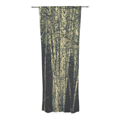 Birch Tree Curtains Wayfair